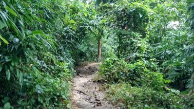জোকের রাজ্যে একদিন