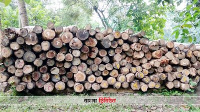 লক্ষ্মীছড়িতে চার লক্ষাধিক টাকার কাঠ উদ্ধার