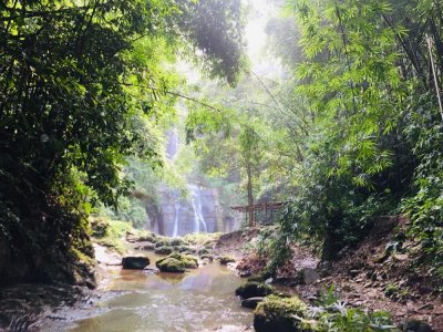 জোকের রাজ্যে একদিন