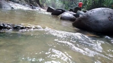 জোকের রাজ্যে একদিন