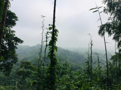 জোকের রাজ্যে একদিন