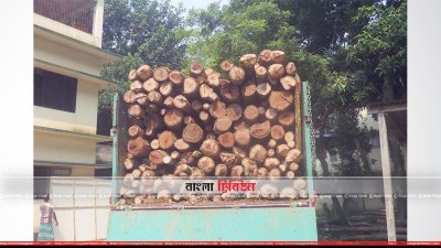 আটক ট্রাক ভর্তি শাল গজারি গাছ 