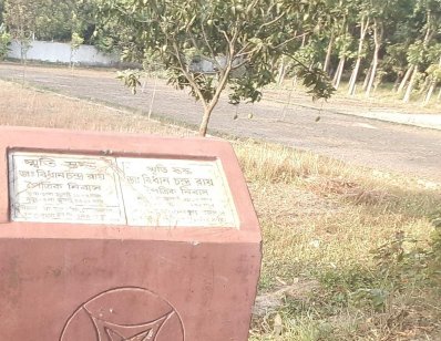 ইছামতির তীরে রূপসী দেবহাটা ম্যানগ্রোভ