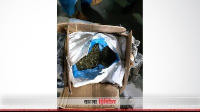 আটক করা এনপিএস