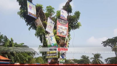 বিজ্ঞাপনের আড়ালে ঢাকা পড়েছে গাছ (ছবি- প্রতিনিধি)