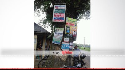 আঞ্চলিক সড়কের পাশের গাছে পেরেক ঠুকে লাগানো বিজ্ঞাপন (ছবি- প্রতিনিধি)