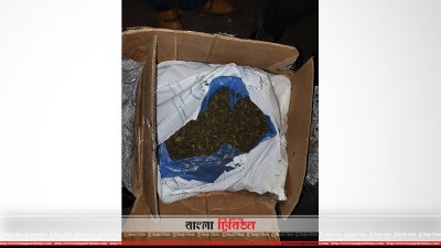 ঢাকা কাস্টম হাউসের আটক করা মাদক এনপিএস