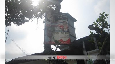 নীলফামারীর গাছে গাছে নির্বাচনি ব্যানার-ফেস্টুন