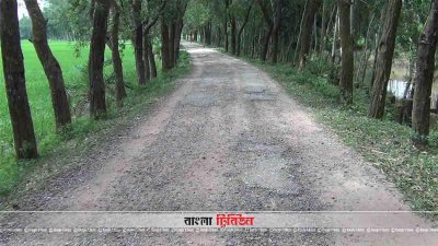 সংস্কারের অভাবে হাকিমপুর পৌরসভার সড়কগুলোর বেহাল দশা