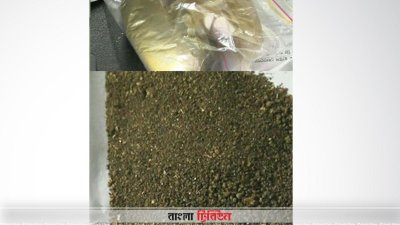 বেনাপোল কাস্টমসে আটক সোনার গুড়ার ছবি