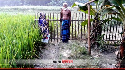 রাস্তা কেটে কৃষি জমিতে পরিণত করা হয়েছে