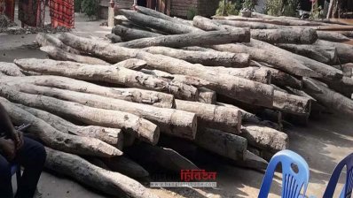 উদ্ধারকৃত সুন্দরী কাঠ