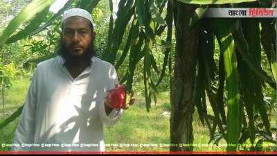 নিজের বাগানে গোলাম মওলা
