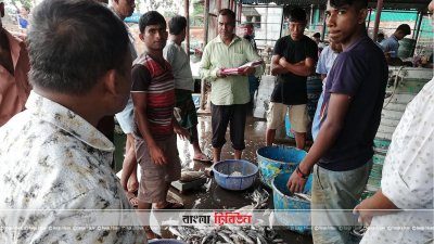 পরিবহন ধর্মঘটে ক্ষতির মুখে কাপ্তাই হ্রদের মৎস্য ব্যবসায়ীরা