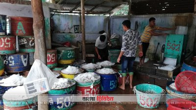 পরিবহন ধর্মঘটে ক্ষতির মুখে কাপ্তাই হ্রদের মৎস্য ব্যবসায়ীরা