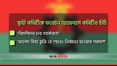 বিএনপির কাছে কার্যকর প্রতিশ্রুতি চায় বিদেশিরা