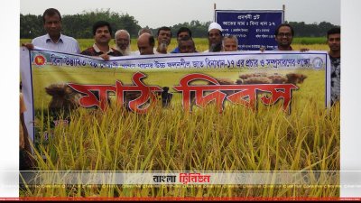 শ্রীপুরে ‘বিনা-১৭’ ধানের মাঠ দিবস