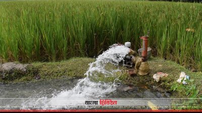 মেশিন দিয়ে আমনক্ষেতে পানি দেওয়া হচ্ছে