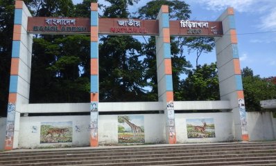 জাতীয় চিড়িয়া খানা (ছবি: উইকিপিডিয়া থেকে)