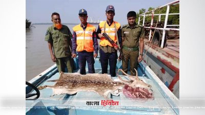 হরিণের মাংশ ও মাথা এবং চামড়া