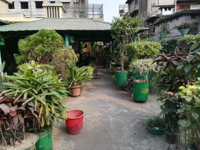 ঢাকা কেন্দ্র: যান্ত্রিক বিষণ্নতার শহরে নৈসর্গিক সৌন্দর্য