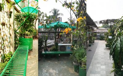 ঢাকা কেন্দ্র: যান্ত্রিক বিষণ্নতার শহরে নৈসর্গিক সৌন্দর্য