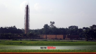 কৃষিজমির মাঝে তৈরি করা হচ্ছে নতুন ইটভাটা