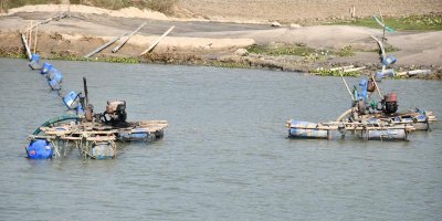 নদীতে শ্যালে বসিয়ে বালু তোলা হচ্ছে