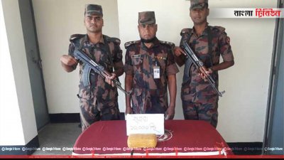 টেকনাফে ধানক্ষেতে মিললো ১০ হাজার ইয়াবা