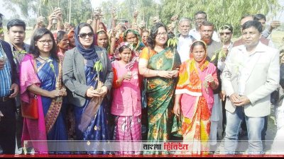 দা‌শিয়ারছড়ায় ১৫ হাজার ঔষধি গা‌ছের চারা রোপণ কর্মসূচি উদ্বোধন