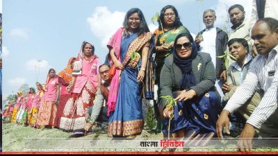 দা‌শিয়ারছড়ায় ১৫ হাজার ঔষধি গা‌ছের চারা রোপণ কর্মসূচি উদ্বোধন