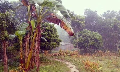অনিন্দ্য সুন্দর রূপপুর গ্রামের গল্প