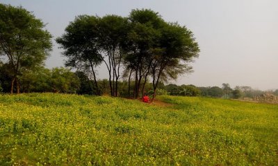 অনিন্দ্য সুন্দর রূপপুর গ্রামের গল্প