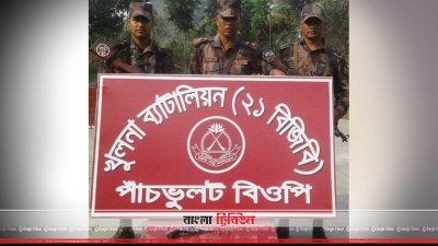 অস্ত্র ও গুলি উদ্ধার করেছে বিজিবি