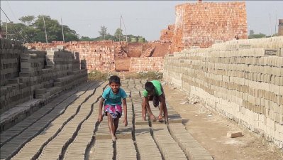 আদালতে ভুয়া নথি দিয়ে অবৈধ ইট ভাটা চালিয়ে যাওয়ার অভিযোগ