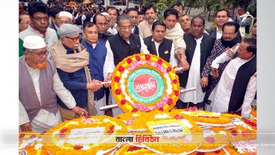 সারাদেশে নানা আয়োজনে বিজয় দিবস পালিত হচ্ছে