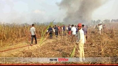 গাইবান্ধার সাহেবগঞ্জে আগুনে পুড়ে গেছে ক্ষেতের আখ
