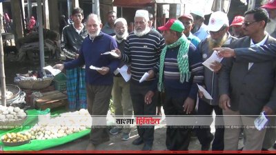 নৌকার প্রচারণায় মুক্তিযোদ্ধারা (ছবি&ndash; প্রতিনিধি)