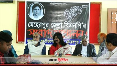 সংবাদ সম্মেলনে কথা বলেন মেহেরপুর-১ আসনে বিএনপির প্রার্থী মাসুদ অরুণ