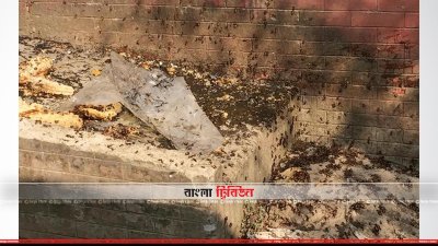 ইসলামপুরের সাজালেরচর সরকারি প্রাথমিক বিদ্যালয় কেন্দ্রে মৌচাক ও মৌমাছি পুড়িয়ে ফেলা হয়