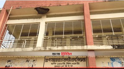 ইসলামপুরের সাজালেরচর সরকারি প্রাথমিক বিদ্যালয় কেন্দ্রে মৌচাক 