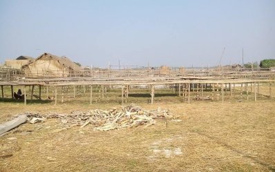 ঘুরে এলাম বিশ্ব ঐতিহ্য সুন্দরবন