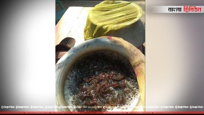 ফাইল ছবি