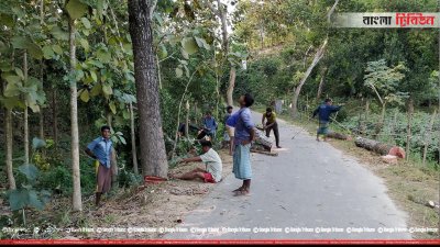 রেইছা-গোয়ালিয়াখোলা সড়কে &zwnj;লাগানো দেড় হাজার বিভিন্ন প্রজাতির গাছ কেটে ফেলা হচ্ছে