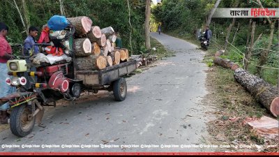 রেইছা-গোয়ালিয়াখোলা সড়কে &zwnj;লাগানো দেড় হাজার বিভিন্ন প্রজাতির গাছ কেটে ফেলা হচ্ছে
