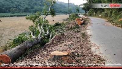 রেইছা-গোয়ালিয়াখোলা সড়কে &zwnj;লাগানো দেড় হাজার বিভিন্ন প্রজাতির গাছ কেটে ফেলা হচ্ছে