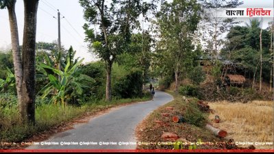 রেইছা-গোয়ালিয়াখোলা সড়কে &zwnj;লাগানো দেড় হাজার বিভিন্ন প্রজাতির গাছ কেটে ফেলা হচ্ছে