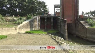 গোপালগঞ্জে অপরিকল্পিত স্লুইচ গেট নির্মাণে ক্ষতিগ্রস্ত হাজারও কৃষক