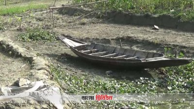 গোপালগঞ্জে অপরিকল্পিত স্লুইচ গেট নির্মাণে ক্ষতিগ্রস্ত হাজারও কৃষক
