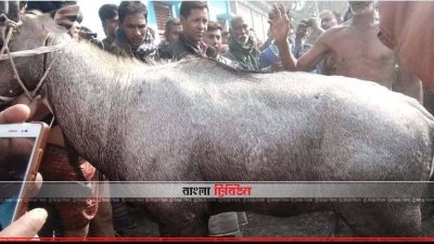 এলাকাবাসীর হাতে আটক বনগুরু